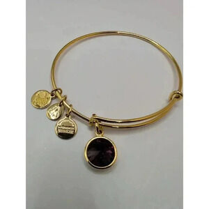 Alex And Ani February Birthstone Charm Bangle Amethyst Bracelet